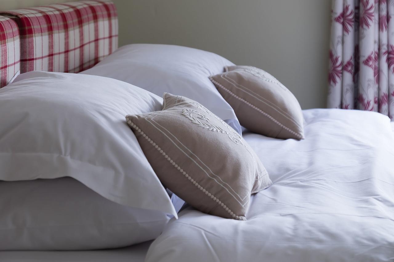 The Graig Bed & Breakfast Ludlow Farden Ngoại thất bức ảnh