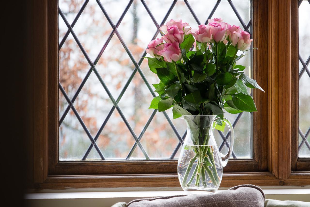 The Graig Bed & Breakfast Ludlow Farden Ngoại thất bức ảnh