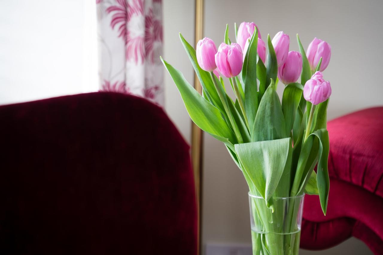 The Graig Bed & Breakfast Ludlow Farden Ngoại thất bức ảnh
