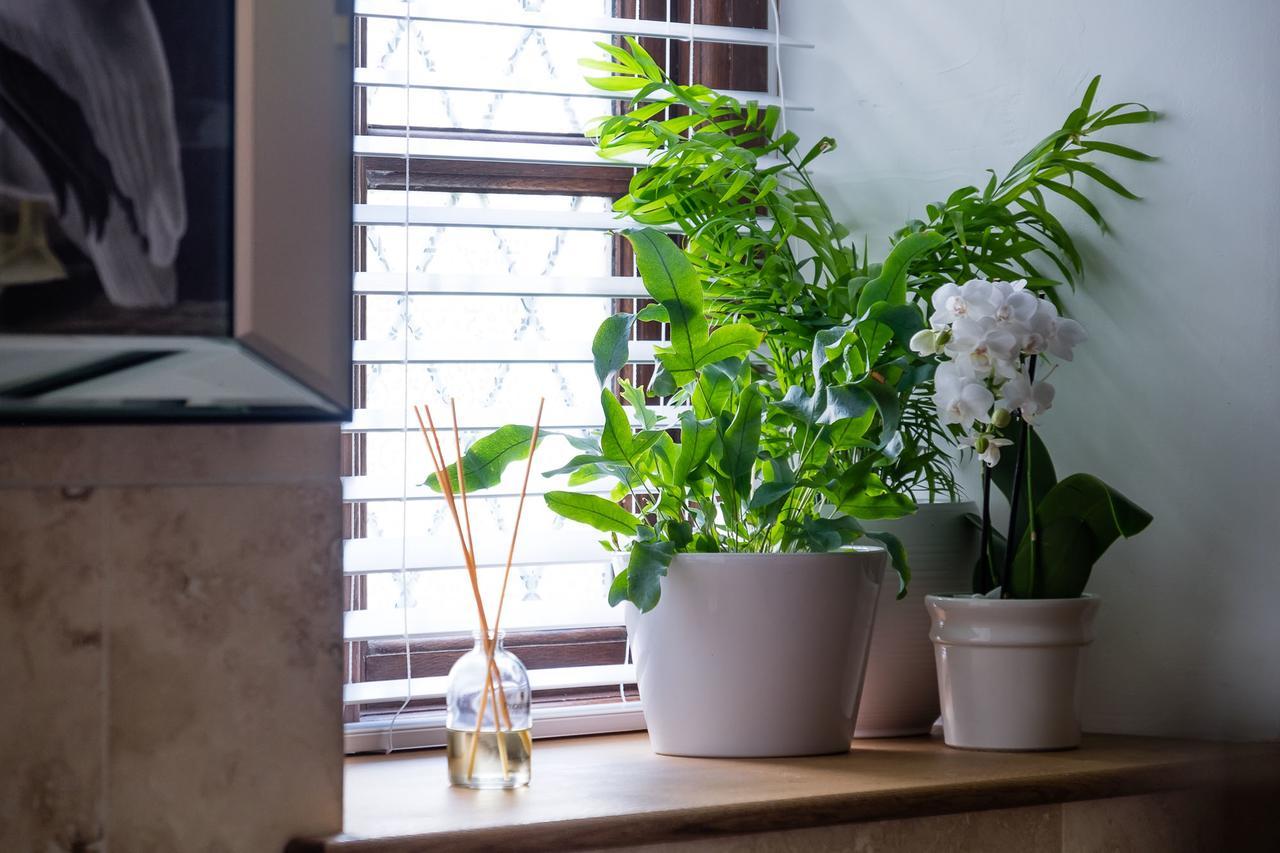 The Graig Bed & Breakfast Ludlow Farden Ngoại thất bức ảnh